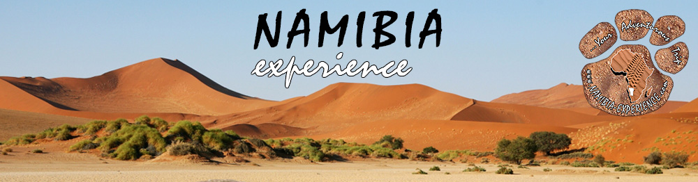 NAMIBIA experience